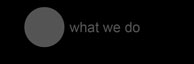 What We Do